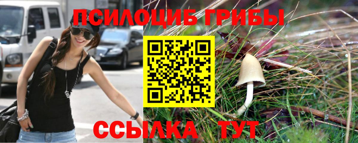 Галлюциногенные грибы Cubensis Печора