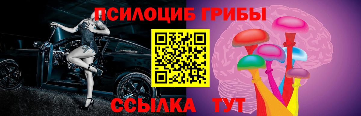 Галлюциногенные грибы Psilocybine cubensis  Вход с VPN  Печора 